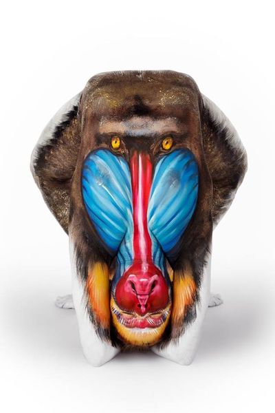 20141112_PN_bodypaint6