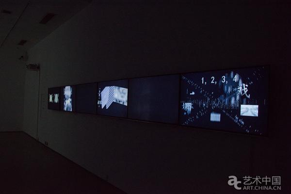 北京大学彭锋教授任策展人