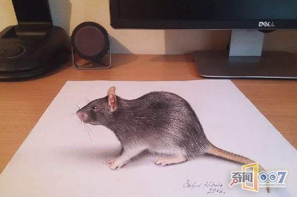 艺术家创作神奇3D画，效果逼真