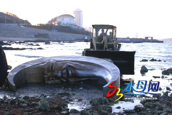 王文学表示:“大家只知道月亮老人是烟台的标志
