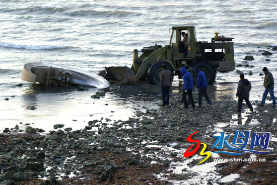 王文学表示:“大家只知道月亮老人是烟台的标志
