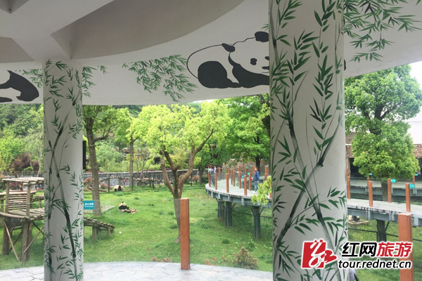 长沙生态动物园内生机盎然 增多处美丽墙绘（图）