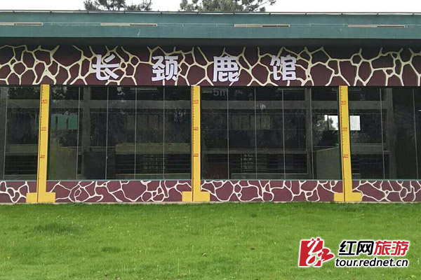 长沙生态动物园内生机盎然 增多处美丽墙绘（图）