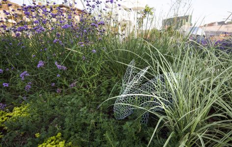 and the completeness of three or four generations living together.Landscaping is often pinned on gorgeous flowers