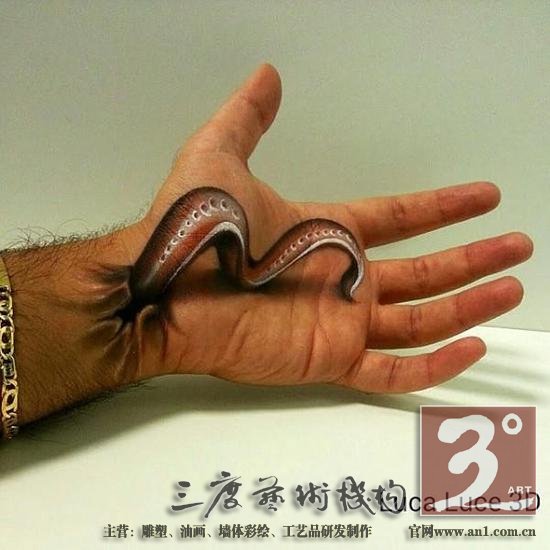 意大利艺术家打造“3D手掌画”