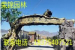 山东室内假树大门